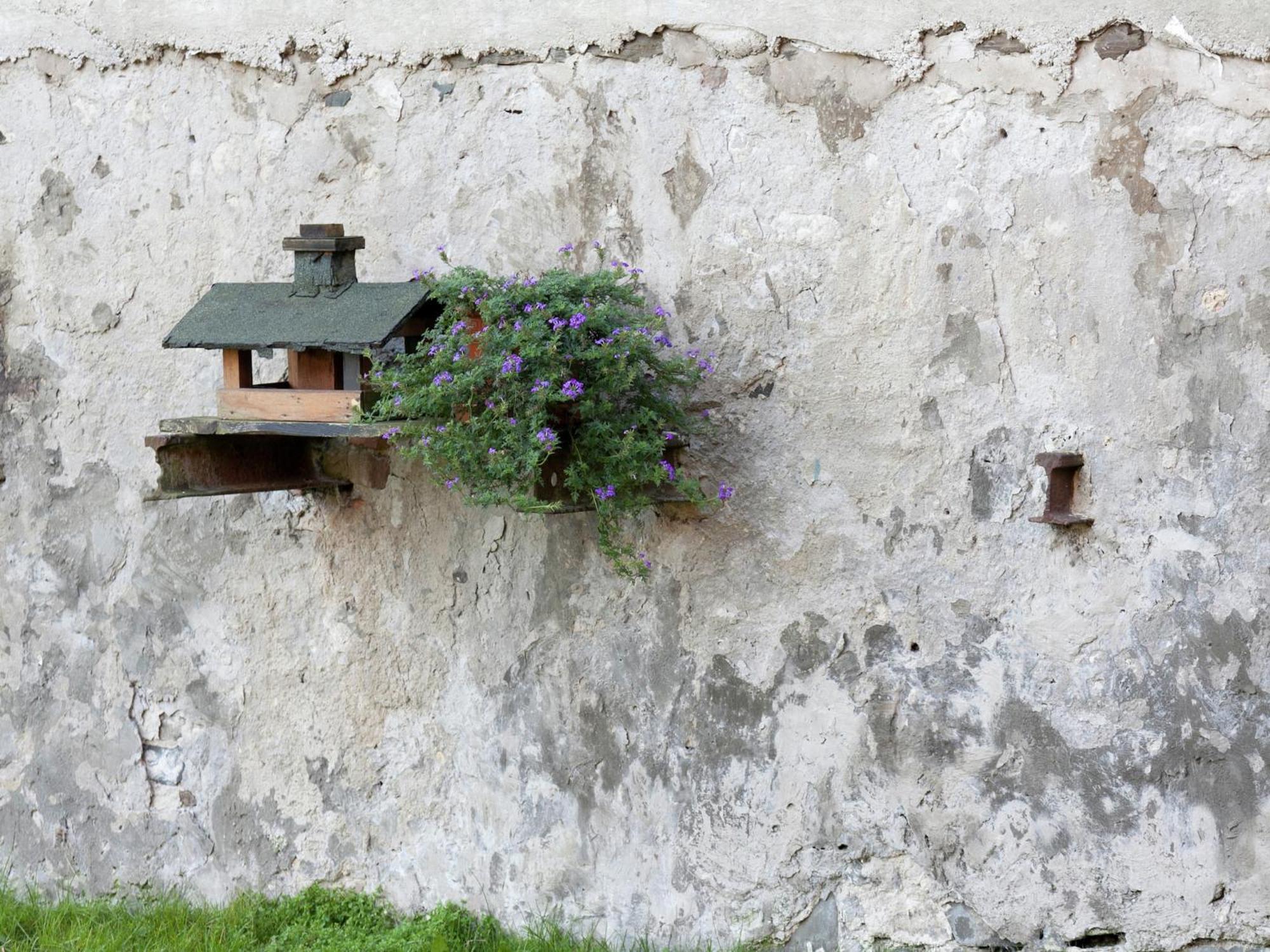 Nice Apartment In Allrode With Private Terrace Εξωτερικό φωτογραφία